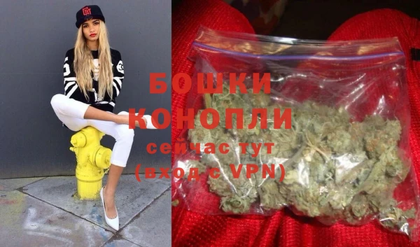 бошки Богданович