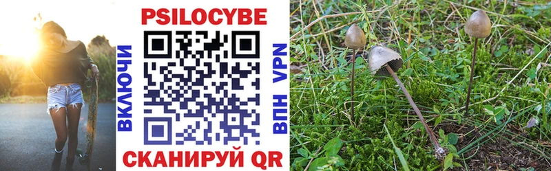 Псилоцибиновые грибы Psilocybe купить наркотик Боровичи